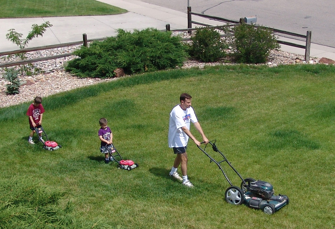 Mow My Lawn 2