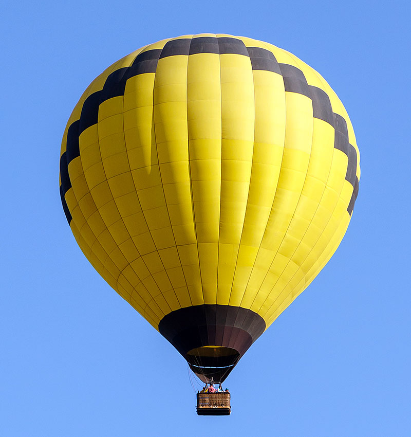 Grass Blog - new hot air balloon update roblox adopt me vloggest
