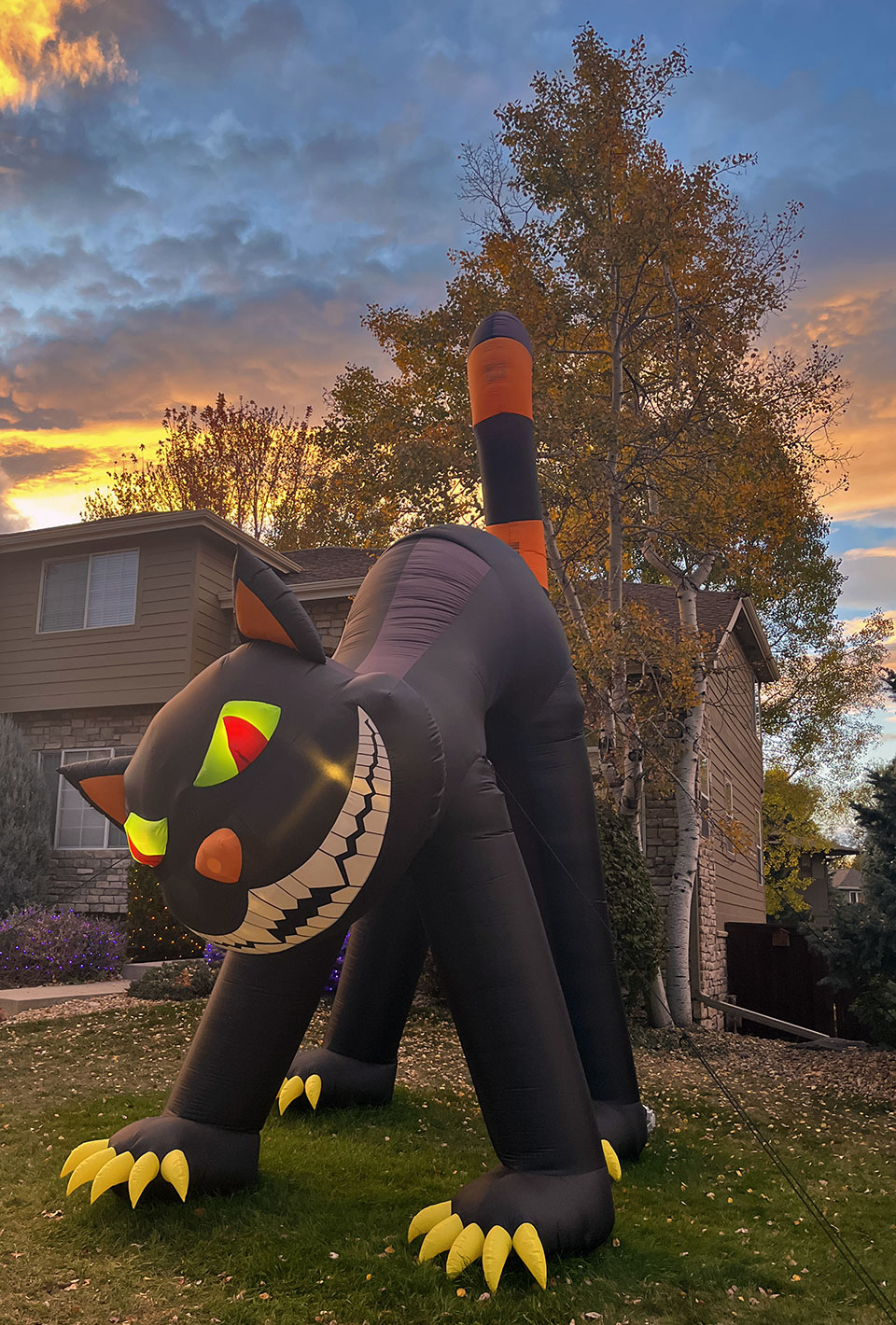 inflatable 20' cat